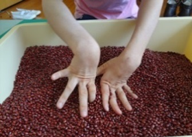 小豆の感触:気持ちいい!